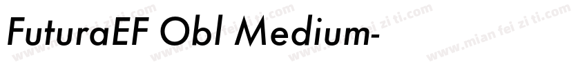 FuturaEF Obl Medium字体转换